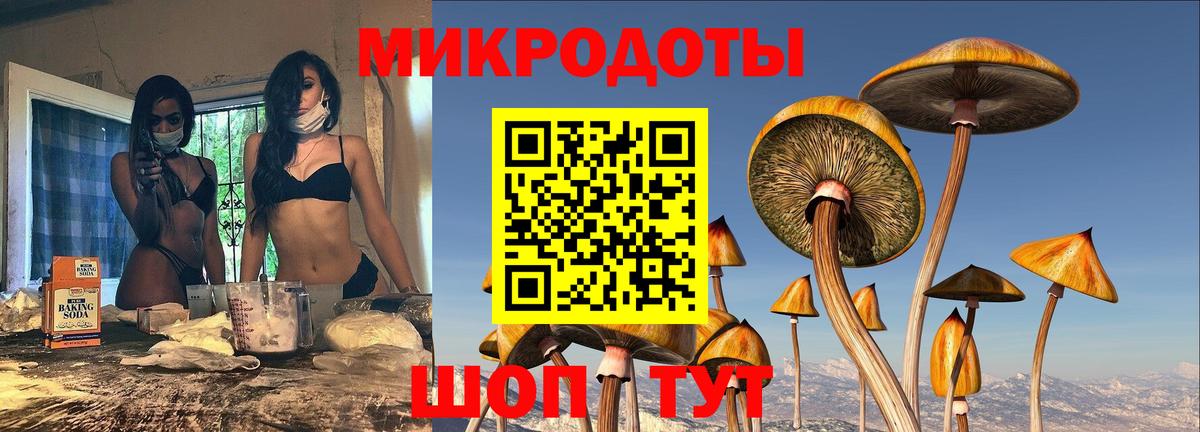 Галлюциногенные грибы мицелий Ростов-на-Дону