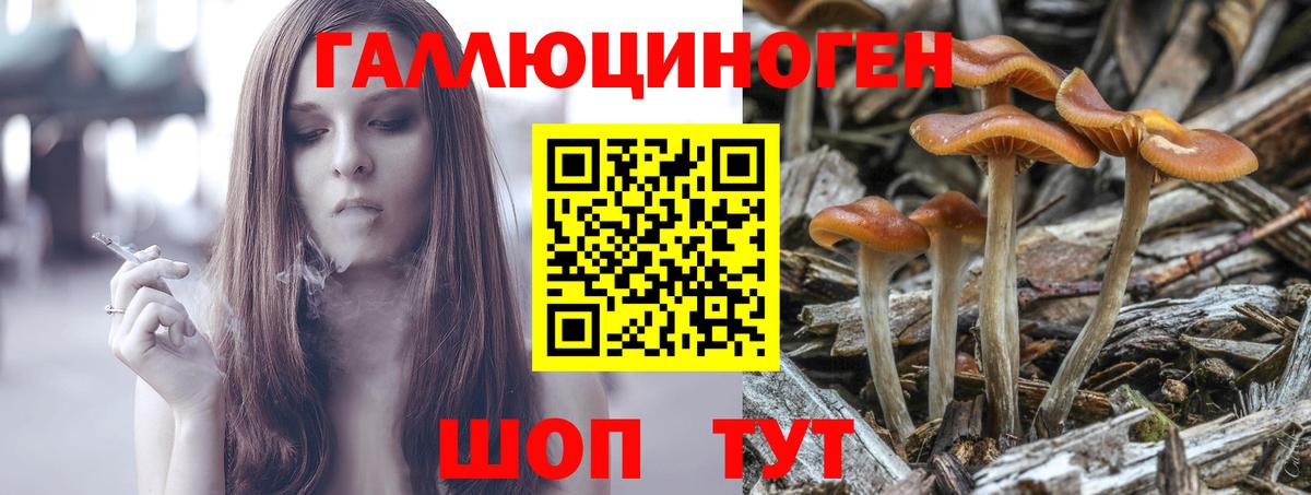 Псилоцибиновые грибы MAGIC MUSHROOMS  Псилоцибиновые грибы прущие грибы  Ростов-на-Дону  Вход с VPN 